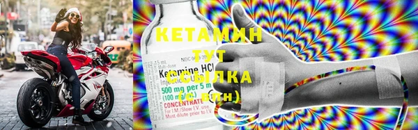 стаф Аркадак