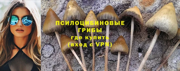 СК Алзамай