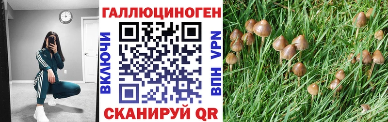 Псилоцибиновые грибы Psilocybine cubensis  Купить  Лесной 